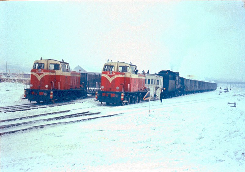 Kuva jk_aurasorkka.jpg